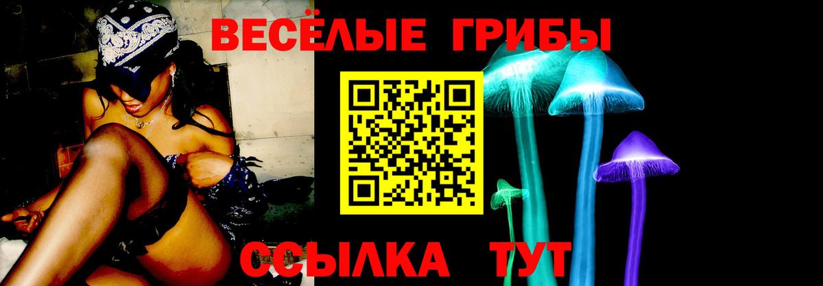 Галлюциногенные грибы прущие грибы  Вход с VPN  Сергиев Посад  Галлюциногенные грибы MAGIC MUSHROOMS 